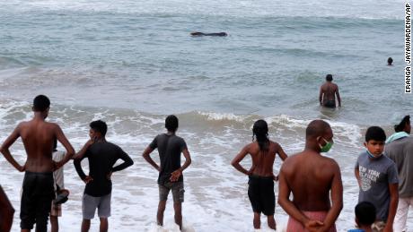 Sri Lanka rescues 100 beached whales after mass stranding