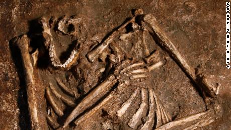 Neanderthals might not be the hunched cavemen we thought they were, study says