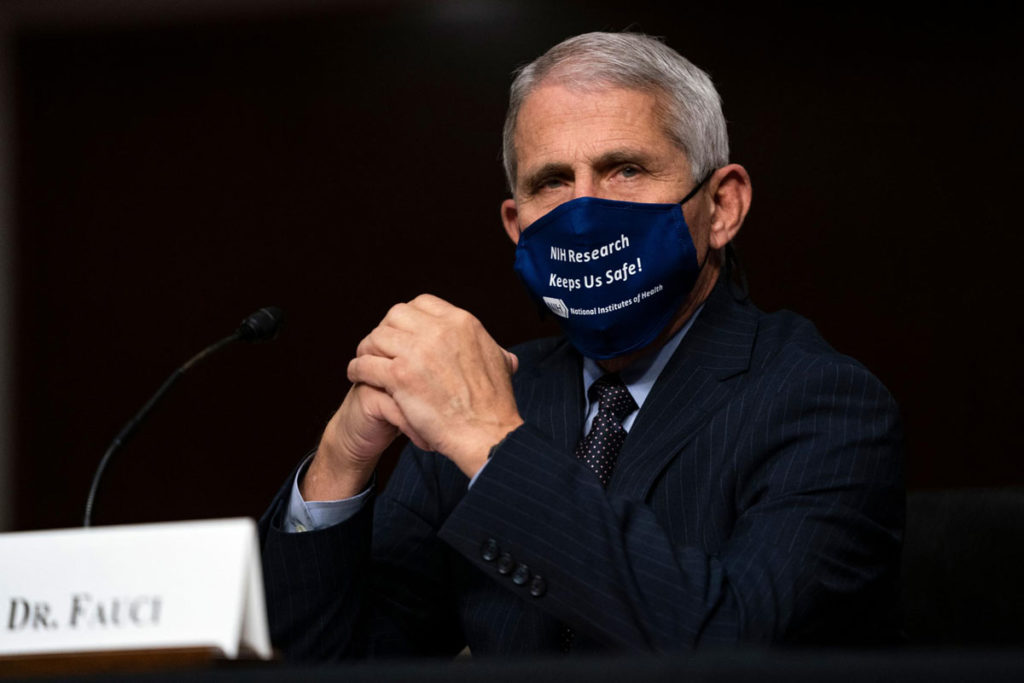 Dr. Anthony Fauci testifies at a hearing of the Senate Health, Education, Labor and Pensions Committee on September 23 in Washington, DC.