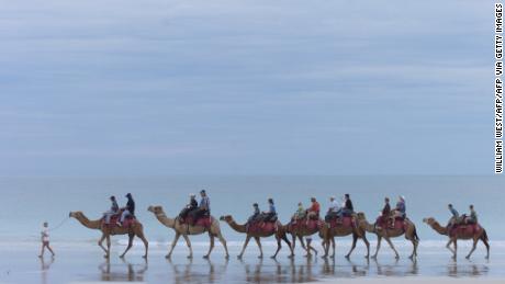 A file photo taken on May 23, 2000 shows camels carrying tourists down Broome&#39;s famous Cable Beach.