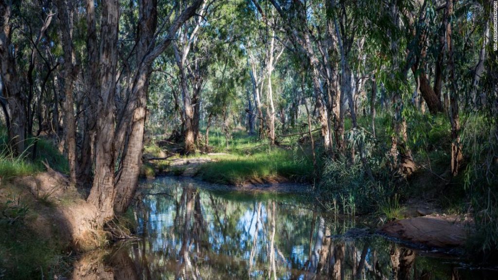 Australia is the last Western holdout on the climate crisis. But some states and businesses are calling for change