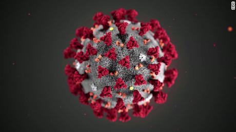 Here&#39;s what we know about the new coronavirus variant found in US