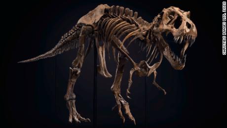 T. rex skeleton sells for $31.8 million setting new world record 
