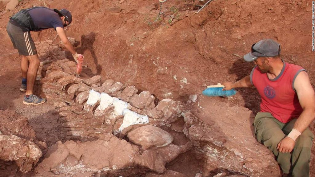 Titanosaur: Dinosaur fossils found in Argentina could belong to the world's largest ever creature