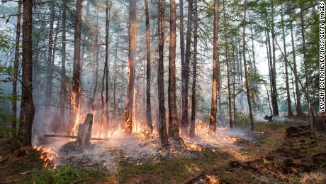 A forest fire burns in Russia&#39;s Sakha Republic. Parts of Siberia experienced temperatures in 2020 that were more than 6 degrees Celsius above normal averaged over the year.