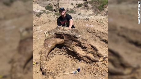 Student unearths 65 million-year-old Triceratops skull 