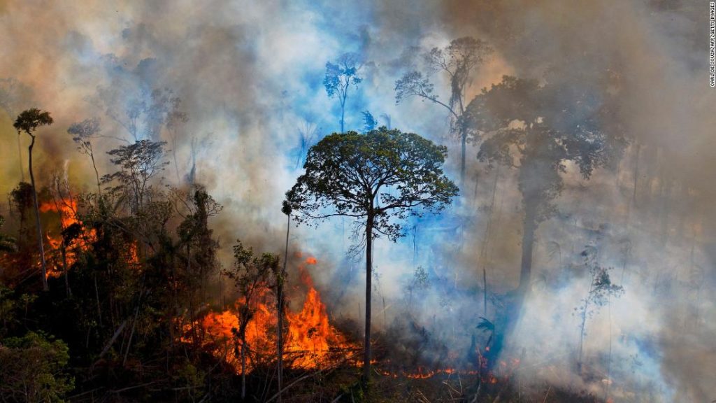 Brazil says it's ready to end deforestation in Amazon. But there's a price tag