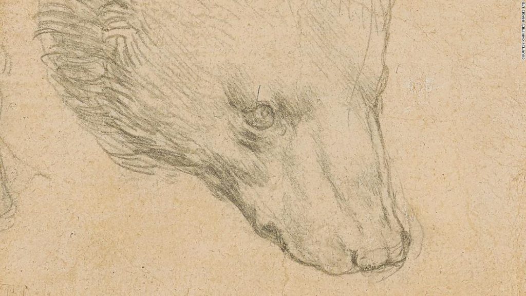 Leonardo da Vinci bear sketch could fetch over $16M