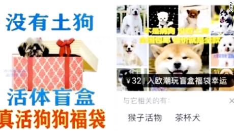 Advertisements for pet mystery boxes which were shown on Chinese state broadcaster CCTV. The one on the left promises &quot;no native dogs,&quot; while the other says &quot;no sick dogs.&quot;
